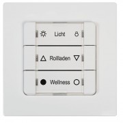 Rademacher Duofern Mehrfachwandtaster 230V (9494-2) Rademacher Duofern Funk